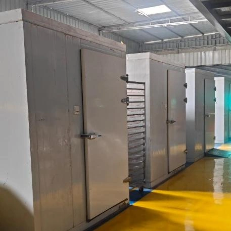 IMM Food Innovators Precision Low-Temperature Air Dehydration Chambers Yawal Facility